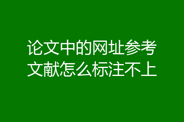 论文中的网址参考文献怎么标注不上