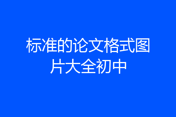 标准的论文格式图片大全初中