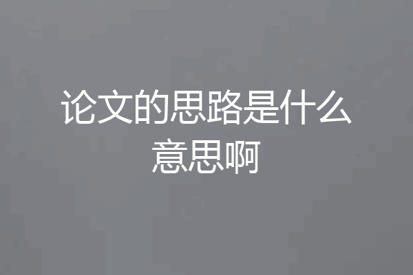 论文的思路是什么意思啊