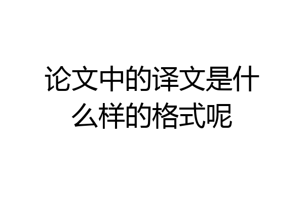 论文中的译文是什么样的格式呢
