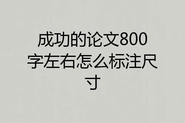 成功的论文800字左右怎么标注尺寸
