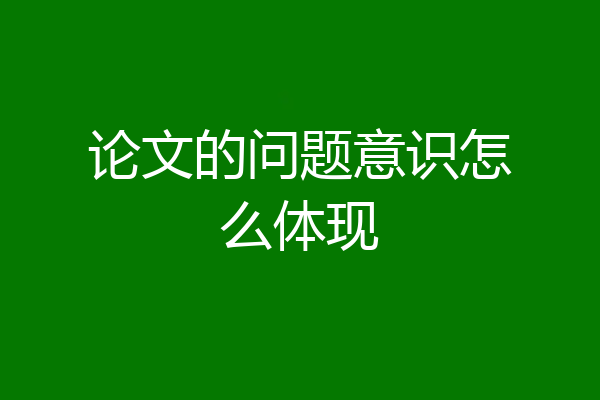 论文的问题意识怎么体现