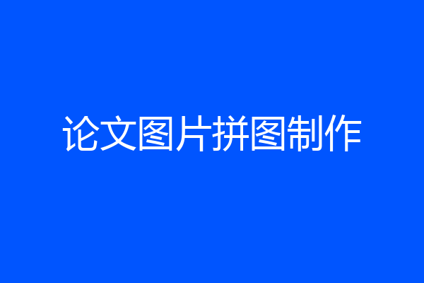 论文图片拼图制作