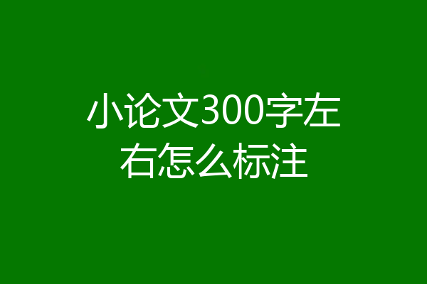 小论文300字左右怎么标注