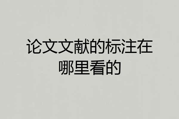 论文文献的标注在哪里看的