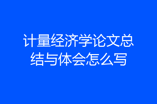 计量经济学论文总结与体会怎么写
