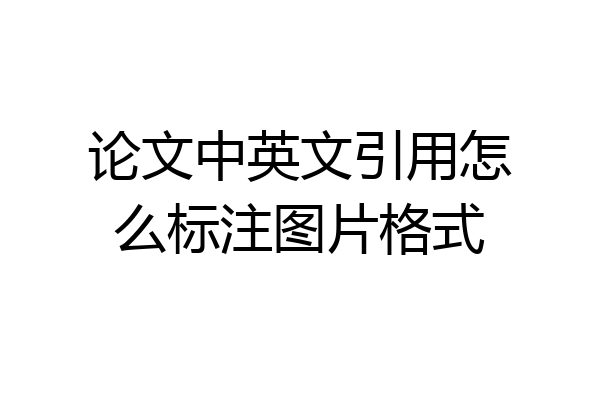 论文中英文引用怎么标注图片格式