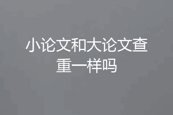 小论文和大论文查重一样吗