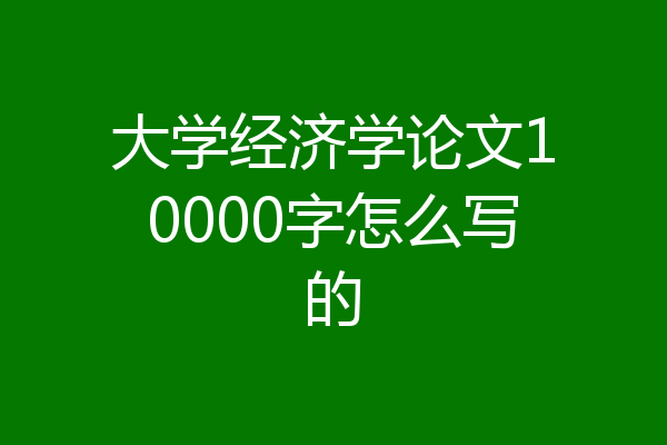大学经济学论文10000字怎么写的