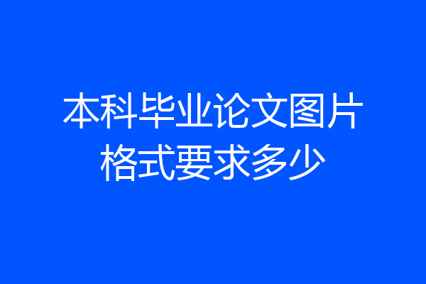 本科毕业论文图片格式要求多少