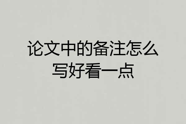 论文中的备注怎么写好看一点
