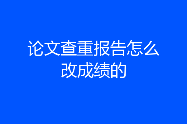 论文查重报告怎么改成绩的