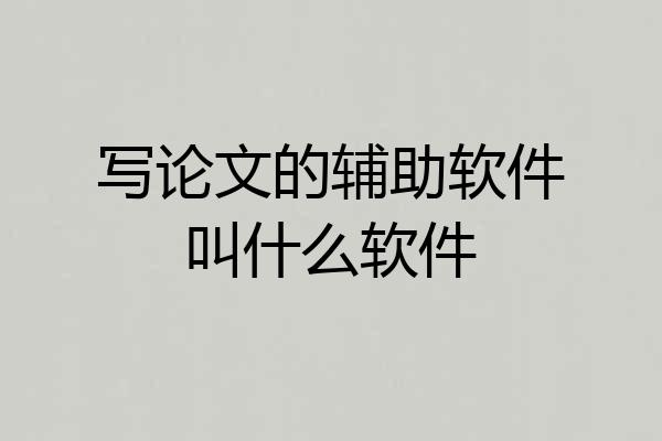 写论文的辅助软件叫什么软件