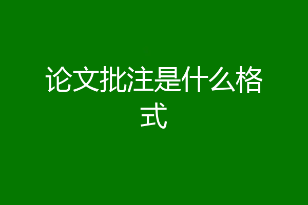 论文批注是什么格式