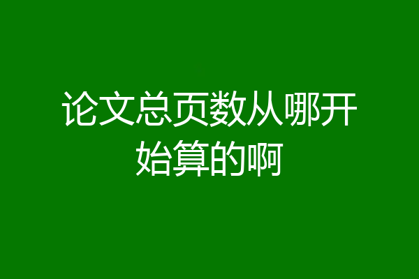 论文总页数从哪开始算的啊