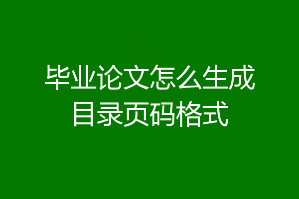 毕业论文怎么生成目录页码格式