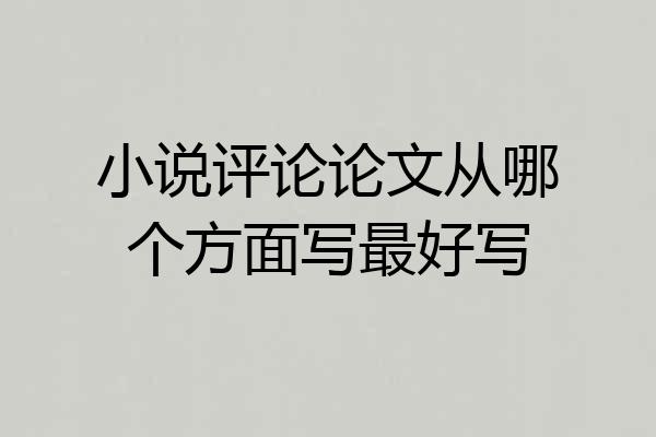小说评论论文从哪个方面写最好写