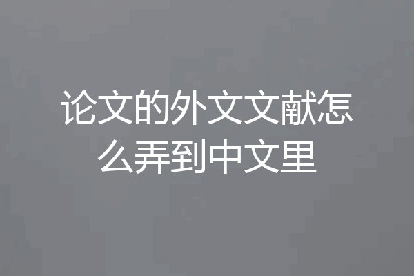 论文的外文文献怎么弄到中文里