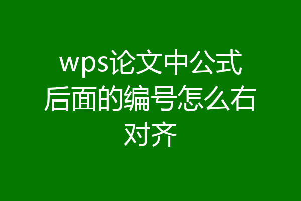 wps论文中公式后面的编号怎么右对齐