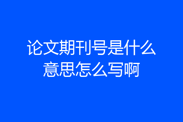 论文期刊号是什么意思怎么写啊