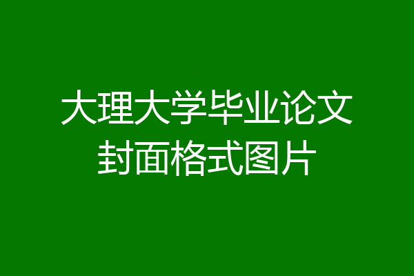 大理大学毕业论文封面格式图片