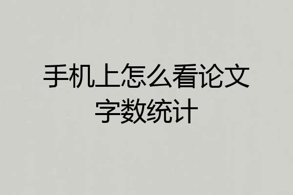 手机上怎么看论文字数统计