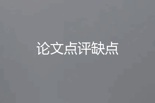论文点评缺点