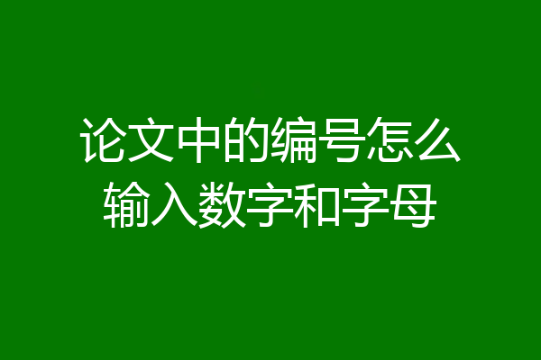 论文中的编号怎么输入数字和字母