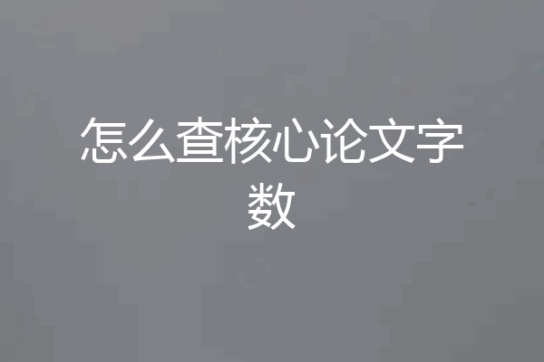 怎么查核心论文字数