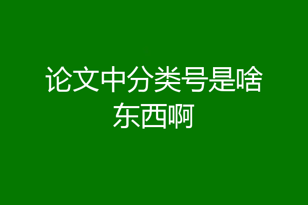 论文中分类号是啥东西啊