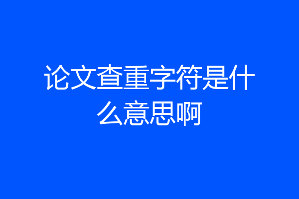 论文查重字符是什么意思啊
