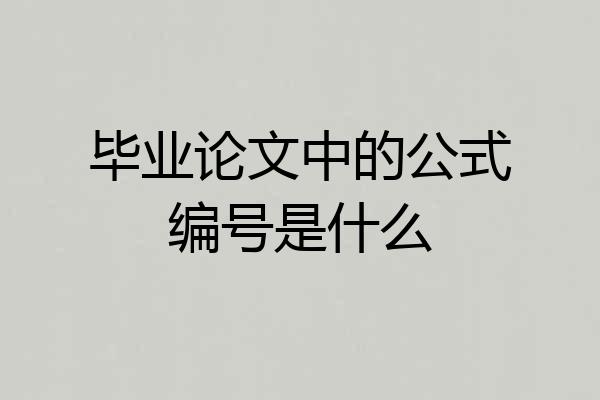毕业论文中的公式编号是什么