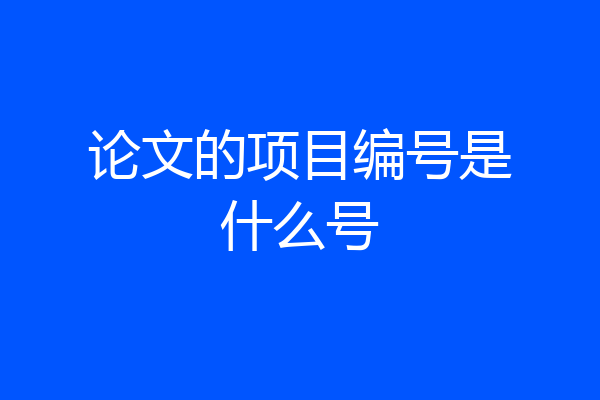 论文的项目编号是什么号