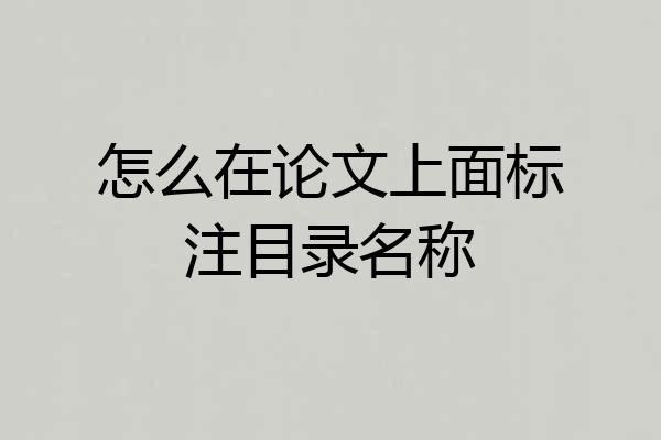 怎么在论文上面标注目录名称