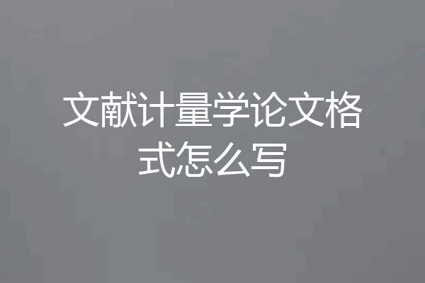 文献计量学论文格式怎么写