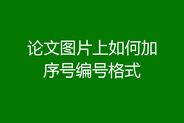 论文图片上如何加序号编号格式
