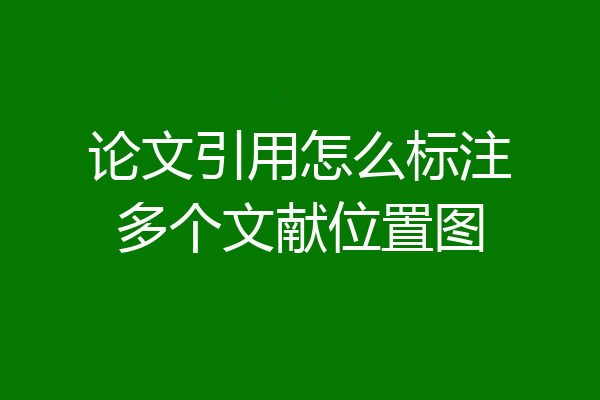 论文引用怎么标注多个文献位置图