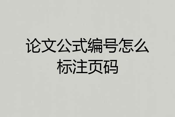 论文公式编号怎么标注页码