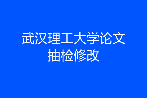 武汉理工大学论文抽检修改