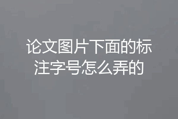 论文图片下面的标注字号怎么弄的