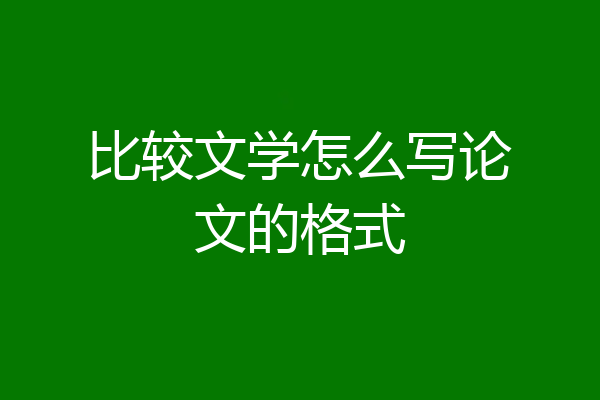 比较文学怎么写论文的格式