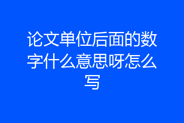 论文单位后面的数字什么意思呀怎么写