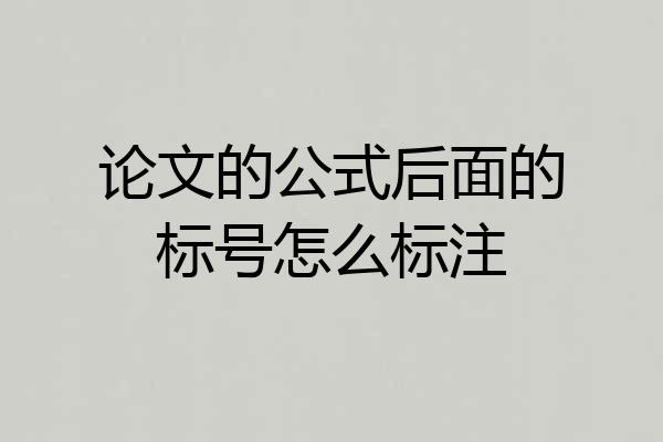 论文的公式后面的标号怎么标注