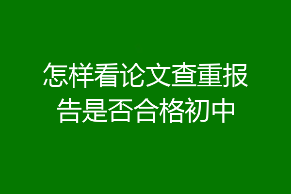 怎样看论文查重报告是否合格初中