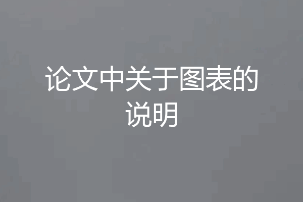 论文中关于图表的说明