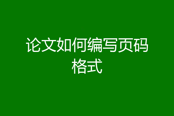 论文如何编写页码格式