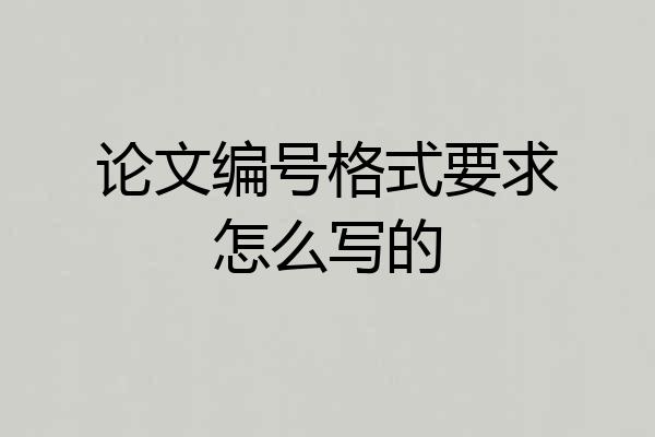 论文编号格式要求怎么写的