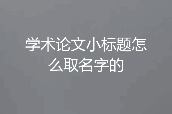 学术论文小标题怎么取名字的