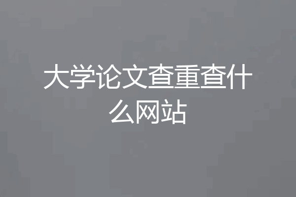 大学论文查重查什么网站