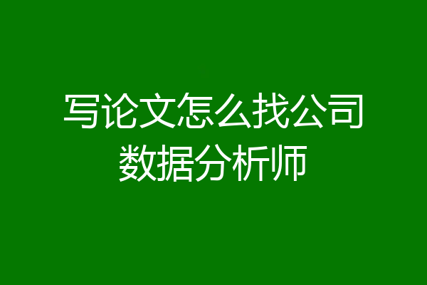 写论文怎么找公司数据分析师